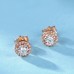 Rose Gold Diamond Effect Earrings SS3008